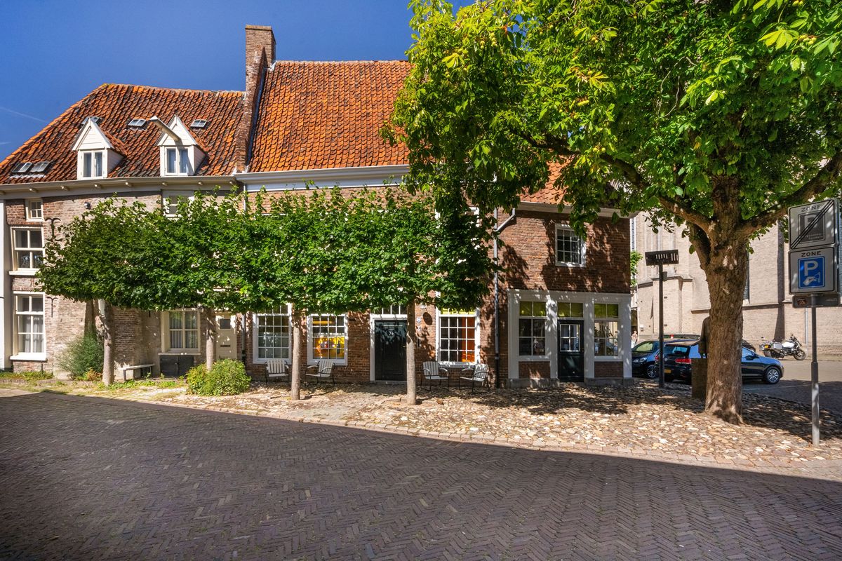 bakstenen huizen met oranje pannendaken achter lindebomen aan een straat in Doesburg